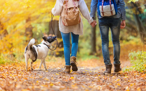 couple with dog in autumn